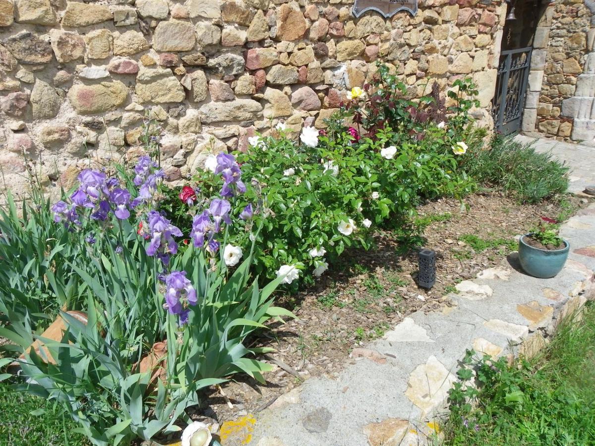 Le Donjon De La Reine Margot Bed & Breakfast Beaumont  Exterior foto